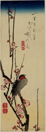 Utagawa Hiroshige: Java Sparrow Perched on Plum Blossom Branch - Honolulu Museum of Art