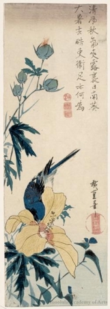 Utagawa Hiroshige: A Blue Bird on a Yellow-flowered Hibiscus - Honolulu Museum of Art
