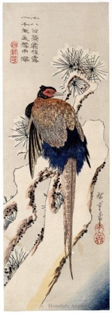 歌川広重: Pheasant in Snow with Pine - ホノルル美術館