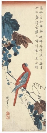 歌川広重: Parrot on a Grapevine - ホノルル美術館