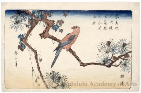 歌川広重: Pine Branch and Parakeet - ホノルル美術館