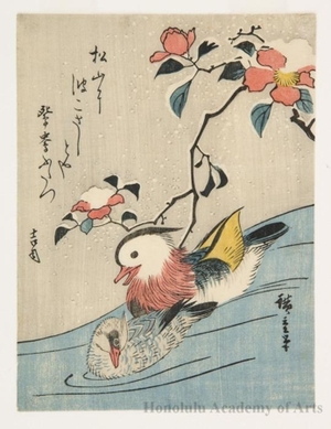 Utagawa Hiroshige: Mandarin Ducks and Camellias in the Snow (Descriptive Title) - Honolulu Museum of Art