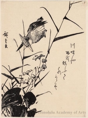 Utagawa Hiroshige: Kingfisher flying over grasses (Descriptive Title) - Honolulu Museum of Art