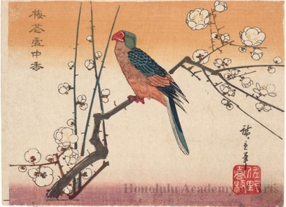 Utagawa Hiroshige: Parrot and Plum Tree - Honolulu Museum of Art