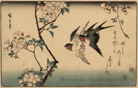 Utagawa Hiroshige: Swallows and Cherry Blossoms - Honolulu Museum of Art