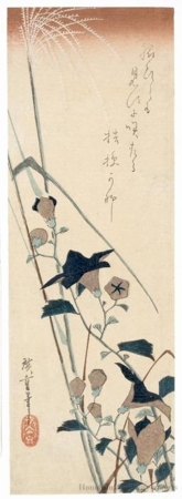 Utagawa Hiroshige: Chinese Bellflowers and Miscanthus - Honolulu Museum of Art