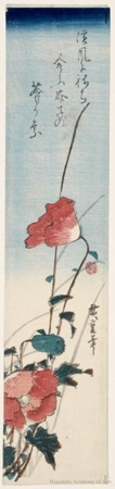 Utagawa Hiroshige: Poppies - Honolulu Museum of Art