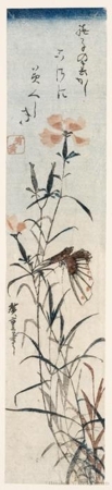 Utagawa Hiroshige: Butterfly and Pinks - Honolulu Museum of Art