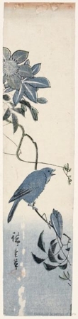 Utagawa Hiroshige: Small Blue Bird on Clematis - Honolulu Museum of Art