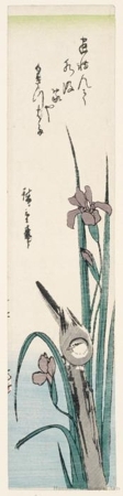 Utagawa Hiroshige: Wagtail and Iris - Honolulu Museum of Art