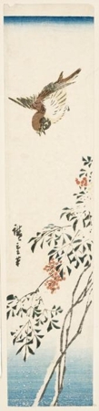 Utagawa Hiroshige: Sparrow and Nandina in Snow - Honolulu Museum of Art