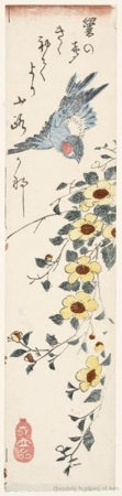 Utagawa Hiroshige: Nightingale and Japanese Rose - Honolulu Museum of Art