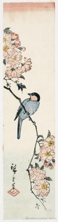 Utagawa Hiroshige: Java Sparrow and Double Cherry Blossoms - Honolulu Museum of Art