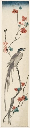 Utagawa Hiroshige: Magpie and Maple Leaves - Honolulu Museum of Art