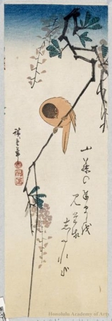 Utagawa Hiroshige: Wistaria and Canary - Honolulu Museum of Art