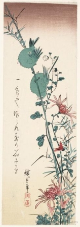 歌川広重: White-Eyes (Zosterops Japonica) and Wild Chrysanthemums - ホノルル美術館