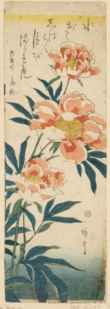 歌川広重: Peonies - ホノルル美術館