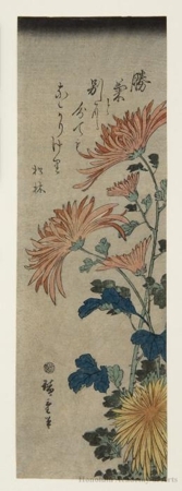 歌川広重: Chrysanthemums - ホノルル美術館
