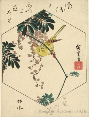 Utagawa Hiroshige: Wisteria and Gold Finch - Honolulu Museum of Art
