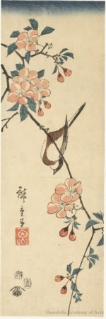 歌川広重: Sparrow on Branch of Cherry Blossoms - ホノルル美術館