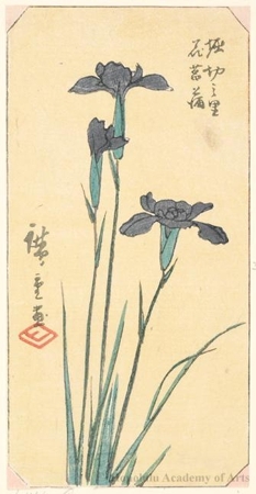 Utagawa Hiroshige: Iris at Horikiri Village - Honolulu Museum of Art