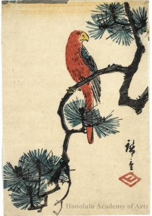 Utagawa Hiroshige: Parrot on Pine Branch - Honolulu Museum of Art