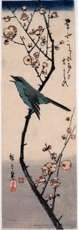Utagawa Hiroshige: Nightingale on Plum Branch - Honolulu Museum of Art