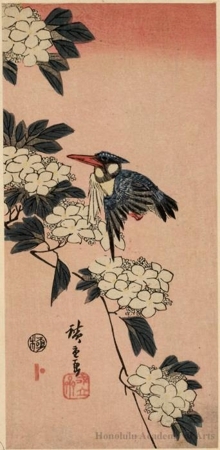 Utagawa Hiroshige: Kingfisher and White Flowers (Descriptive Title) - Honolulu Museum of Art