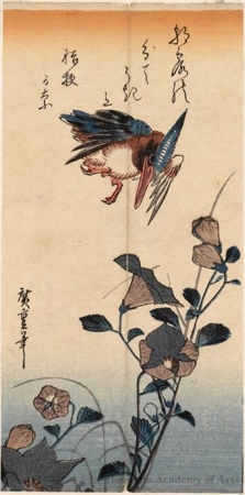 歌川広重: Kingfisher and Japanese Bellflower (Descriptive Title) - ホノルル美術館