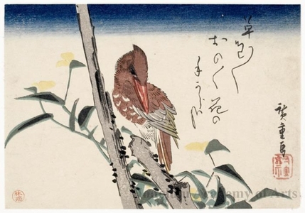 Utagawa Hiroshige: Kingfisher and Yellow Blossoms (Descriptive Title) - Honolulu Museum of Art