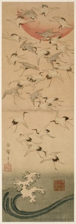Utagawa Hiroshige: Thousand Cranes and the Rising Sun (Descriptive Title) - Honolulu Museum of Art