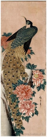 Utagawa Hiroshige: Peacock and Peonies - Honolulu Museum of Art