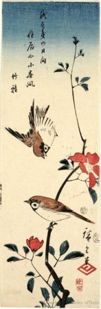 Utagawa Hiroshige: Two Sparraws and Camellia - Honolulu Museum of Art