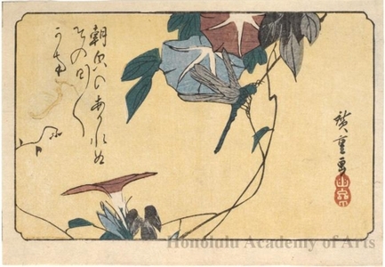 Utagawa Hiroshige: Dragonfly and morning Glory - Honolulu Museum of Art