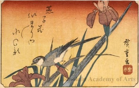 Utagawa Hiroshige: A Blue Bird and Iris - Honolulu Museum of Art