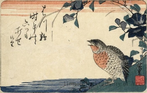 Utagawa Hiroshige: Quail under Morning Glory near Water (Descriptive Title) - Honolulu Museum of Art