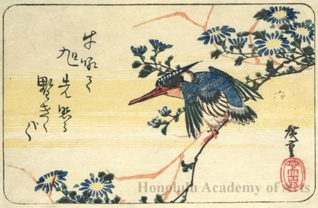 Utagawa Hiroshige: Kingfisher and Wild Chrysanthemum - Honolulu Museum of Art