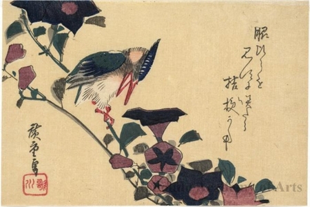 Utagawa Hiroshige: Bellflowers and Kingfisher - Honolulu Museum of Art