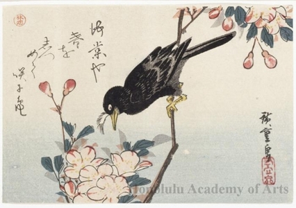 Utagawa Hiroshige: Crested Blackbird and Flowering Cherry - Honolulu Museum of Art