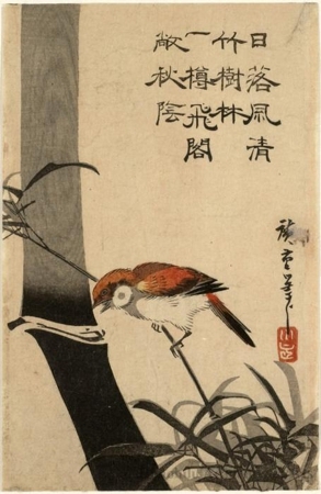 歌川広重: Sparrow and Bamboo - ホノルル美術館