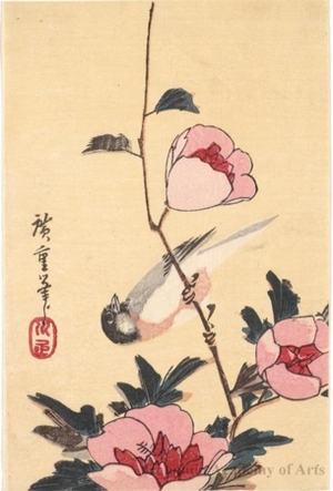 Utagawa Hiroshige: Tit and Peony - Honolulu Museum of Art