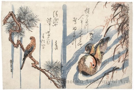 Utagawa Hiroshige: Parrot on a Pine Branch / Mandarin Ducks in a Stream - Honolulu Museum of Art