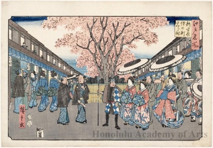 Utagawa Hiroshige: Cherry Blossom Time at Shinyoshiwara Nakanochö - Honolulu Museum of Art
