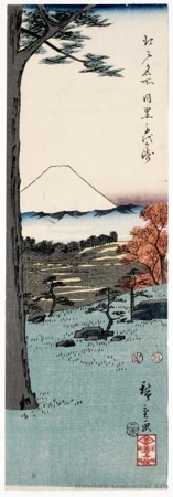 Utagawa Hiroshige: Chiyogasaki at Meguro - Honolulu Museum of Art