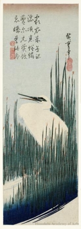 Utagawa Hiroshige: An Egret among Rushes - Honolulu Museum of Art