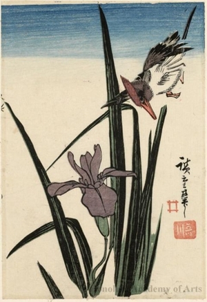 Utagawa Hiroshige: Kingfisher and Iris (descriptive title) - Honolulu Museum of Art