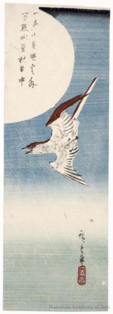 Utagawa Hiroshige: Cuckoo and Moon (descriptive title) - Honolulu Museum of Art