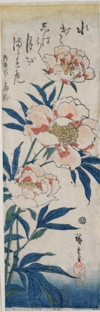 歌川広重: Peonies - ホノルル美術館