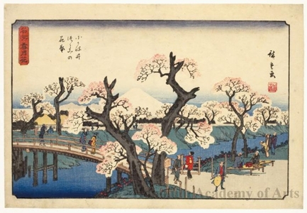 歌川広重: Cherry Blossoms on the River Banks at Koganei - ホノルル美術館