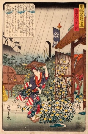 Utagawa Hiroshige: The Legend of Takada Yamabuki Village - Honolulu Museum of Art